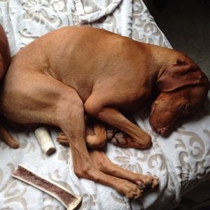 Meet your Posher, Nastacia